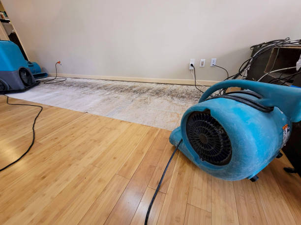 Professional Structural Drying technician working in Minden, LA